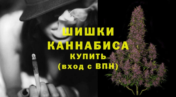 ГАЛЛЮЦИНОГЕННЫЕ ГРИБЫ Арсеньев