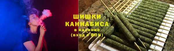 ГАЛЛЮЦИНОГЕННЫЕ ГРИБЫ Арсеньев