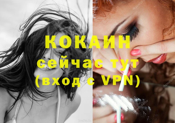 дмт Аркадак
