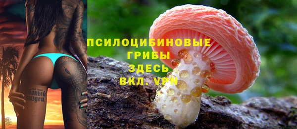 дмт Аркадак
