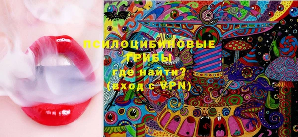 дмт Аркадак