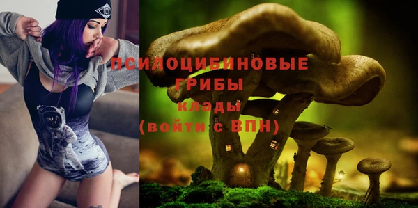 гидра Армянск