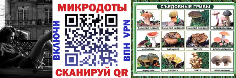 Галлюциногенные грибы Psilocybine cubensis  где продают наркотики  Ростов 